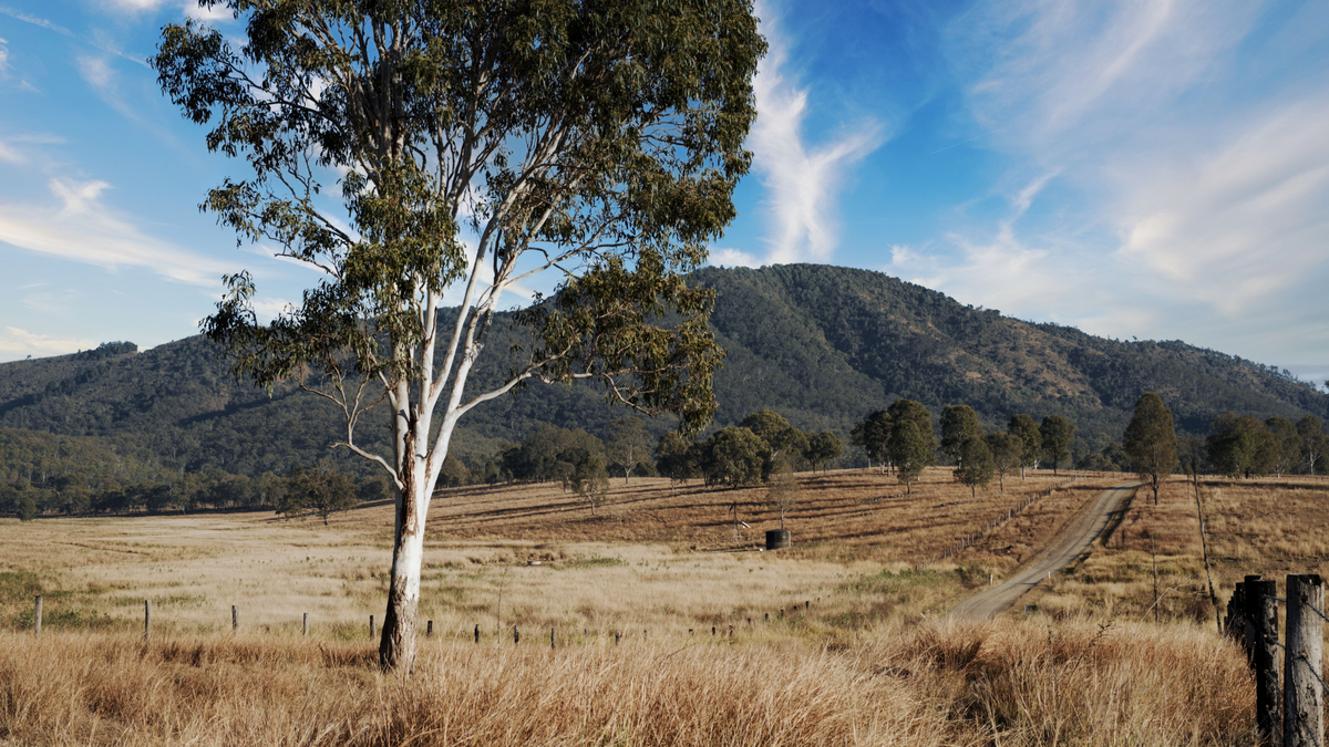 Accessing Healthcare in Regional and Rural Australia: How Telehealth is Bridging the Gap